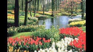 Funeral Service of Alice Rieger