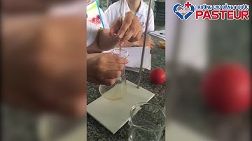 Thực hành: Chuẩn độ bazo yếu bằng acid mạnh (định lượng NH3 bằng dung dịch HCl)