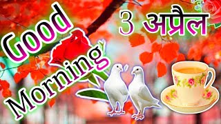 Good morning Shayari 🌹 Good morning shayari status video 🌹 Good morning shayari  video🌹गुड मॉर्निंग screenshot 4