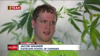 Medical marajuana delayed in Ohio by security guidelines