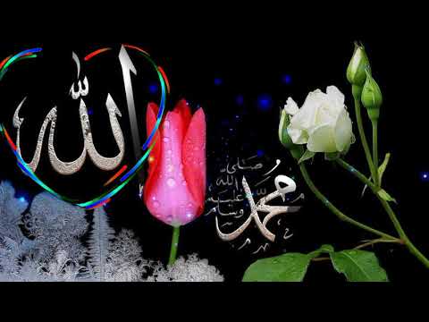 mehamoodhu-nabigal-pirane-|-tamil-islamic-status-em.-hanifa-song