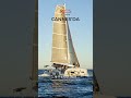 Excess, Cannes Yachting Festival'de!  #shortvideo #sailing #sealife #sea #yacht
