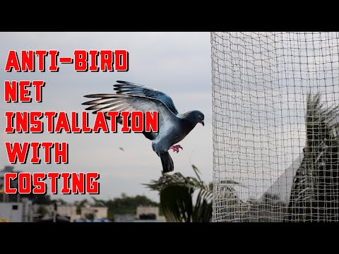 Anti Bird Net Installation | Balcony Safety Net | Installation and