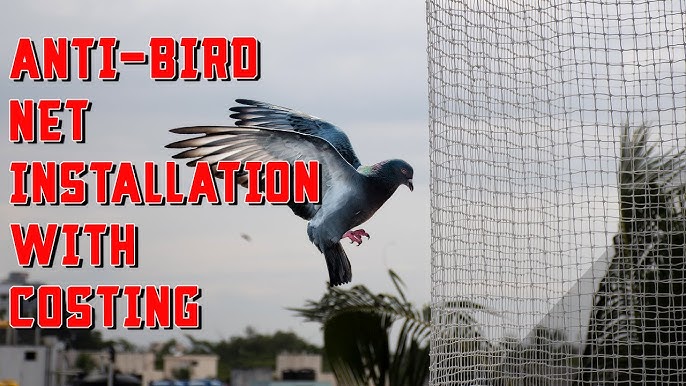 How to Install Heavy Duty Bird Netting [A Step-by-Step Tutorial]  Professional Bird Net Installation 