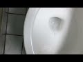 Restroom Tour (Useless Pipe/Kohler Toilet/Hard-To-Flush Urinal)