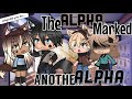 The Alpha Marked Another Alpha || Gacha Life Mini Movie || • GLMM •