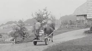 Emmentaler Käse (1963) | SRF Archiv