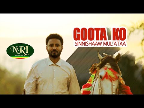 Sinishaw Muleta Goota Koo New Oromo Music Lyric Video