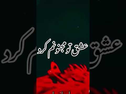 منم یه روز عاقل بودم سید جواد ذاکر        