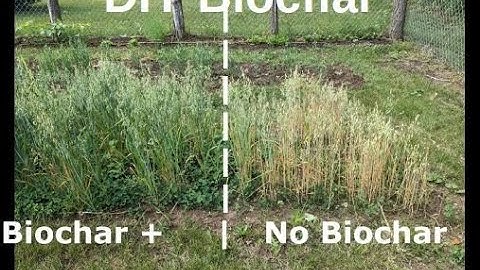 DIY Biochar - improve your soil & yields