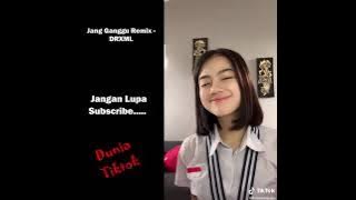 TIKTOK POPULER - Jang Ganggu Remix - DRXML