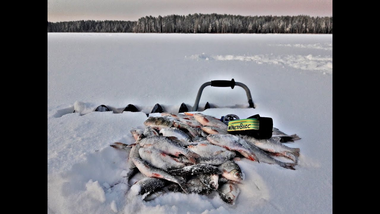 Зимняя рыбалка в Подмосковье: 10 рыболовных баз для новичков и любителей
