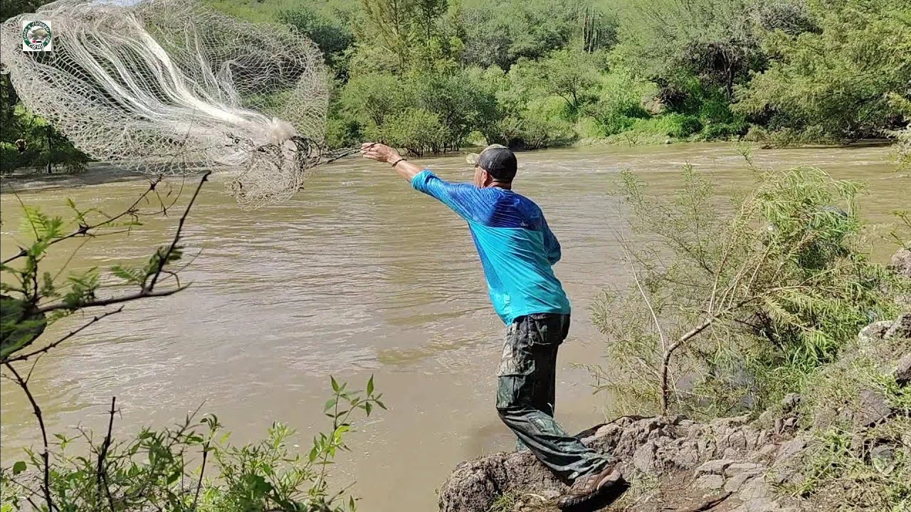 SIGUE ARRASTRANDO tilapias gigantes por el rio fritanga con la familia por el 16 de septiembre