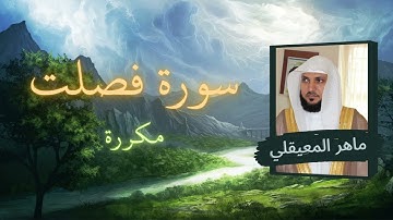 سورة فصلت مكررة القارئ ماهر المعيقلي