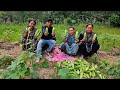 Berkemah di hutan 🌲 panen timun bareng keluarga