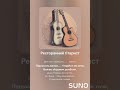 Ресторанний гітарист (блюз)