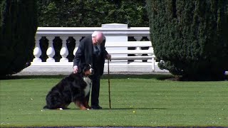 Watch: Irish President’s dog tell American President Joe Biden to back off