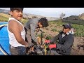 Fumigando las papas en el paramo | Chulla YT