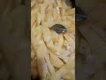Базовый минимум холостяка. Жареный картофель.