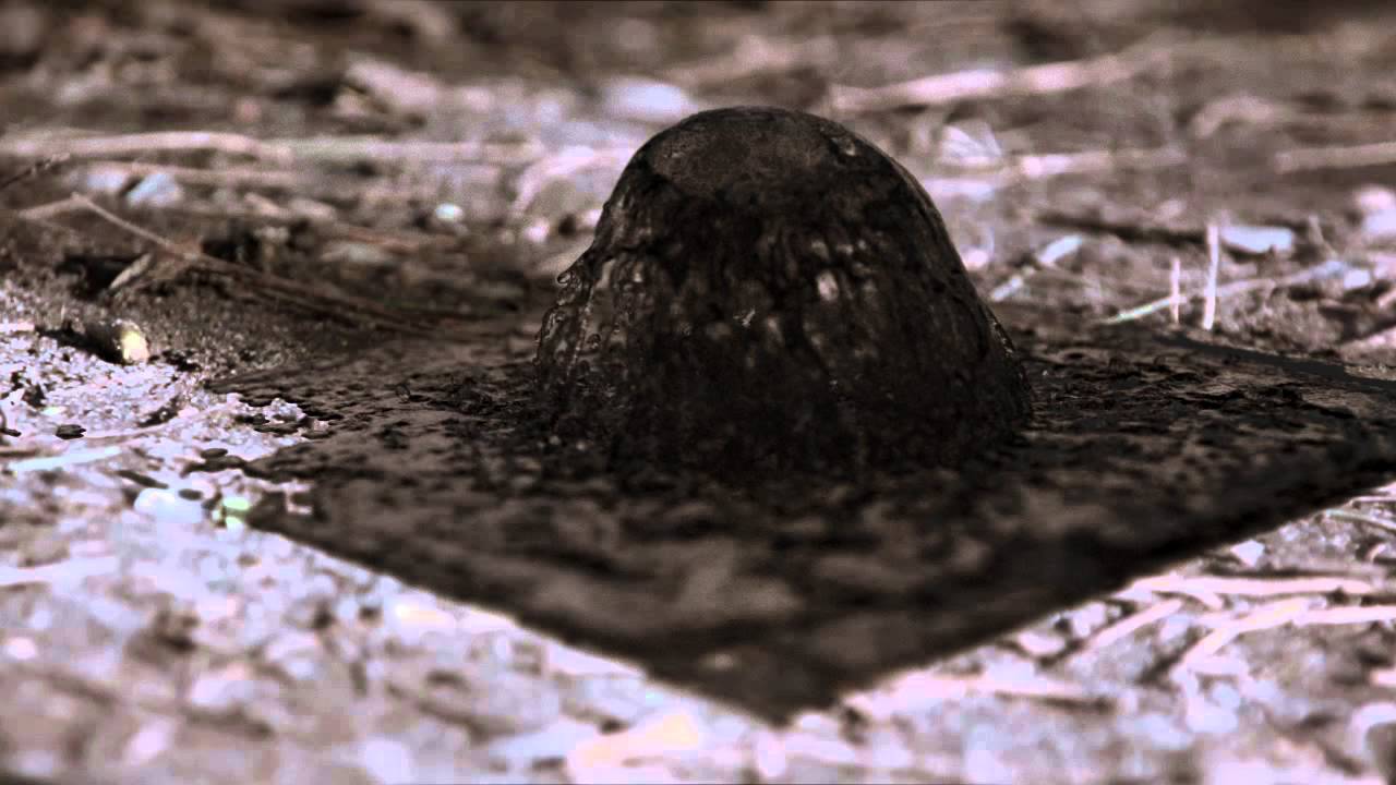 Big Wild - Aftergold