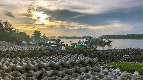 Cảng cá Lộc An, Bà Rịa - Vũng Tàu | A local fishing port in Vietnam | Vegan Travel | An Vietnam