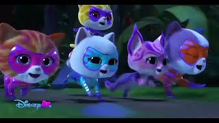 Superwild-Superkitties Music Video