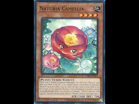Naturia Deck January 2025 YouTube Hqdefault