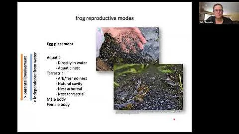 Diversification and conservation of neotropical fr...