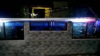 Aquarium depan rumah