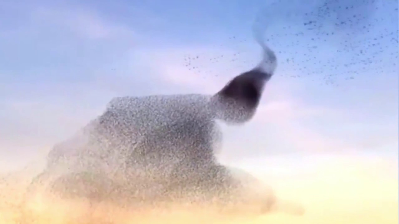 David Hasert - Holy Drums