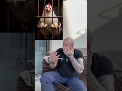 Komšija Jusuf naučio naš jezik😂😂Nachbar Josef hat unsere Sprache gelernt 😂😂 | Hi Babo