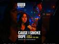 'I Smoke Dope'   DUI Suspect Reveals Why She Can't Count to 100