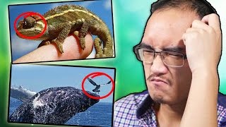 Est-Ce Une Vraie Photo ?