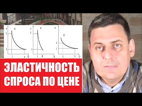 Эластичность спроса по цене | Экономическая теория и практика бизнеса