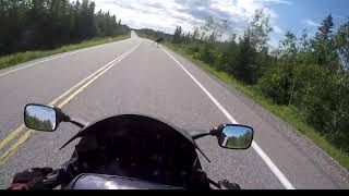 Hayabusa Comes Close To A Moose on the Highway!!