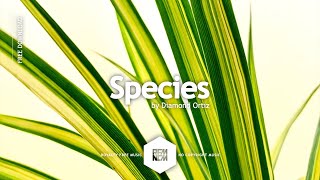 Species - Diamond Ortiz | Royalty Free Music - No Copyright Music