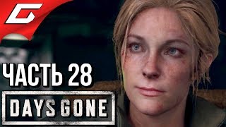 DAYS GONE (Жизнь После) ➤ Прохождение #28 ➤ СНОВА ВМЕСТЕ