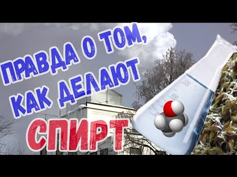 Правда о том, как делают спирт