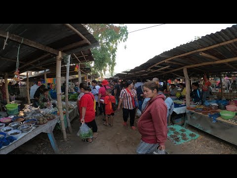 เที่ยวตลาดนัดไทย-ลาว เปงจาน จ.หนองคาย ตลาดขายของป่า ไข่มดแดง รังผึ้ง หนูพุก