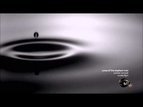 Through the Wormhole - Wave/Particle - Silicon Droplets