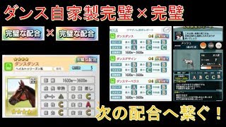 ダビマス 競馬好きお兄さんの配合 タピット自家製〆の完璧な配合三連続をやってみる 完成 目指せ三冠馬編 Space And Time