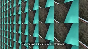 Entendiendo la Ciberntica de Segundo Orden