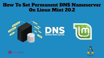 How to set permanent DNS Nameserver on Linux Mint 20.2