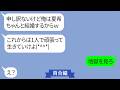 事故で入院した妻をあっさり捨てる夫「お前の双子の妹と再婚するわw」と連絡がきて…【LINE】