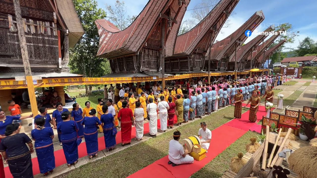 Pernikahan Mewah Adat Toraja terbaru 2023 Part 1