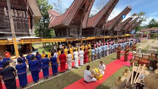 Pernikahan Mewah Adat Toraja terbaru 2023 Part 1