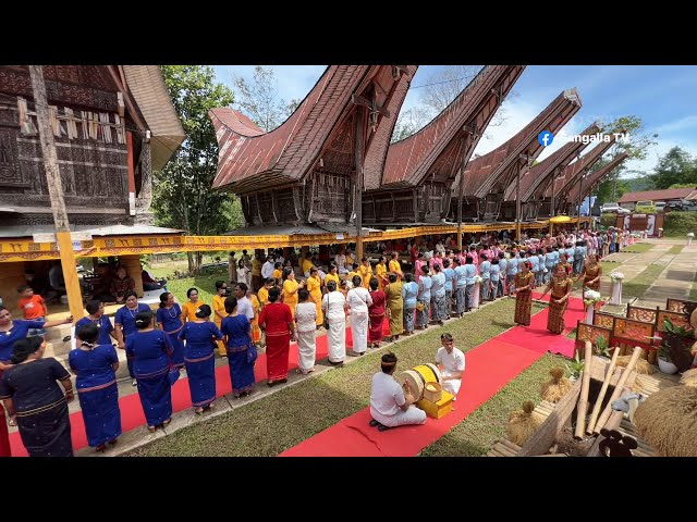 Pernikahan Mewah Adat Toraja terbaru 2023 Part 1 class=