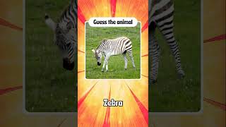 Test your wildlife knowledge | Guess the animal