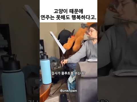 주인 연습 방해 thumbnail