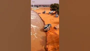 ١٦ نوفمبر ٢٠٢٤ 